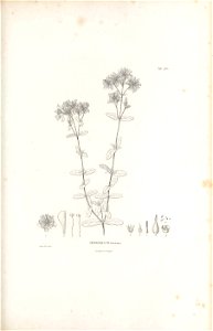 n256_w1150