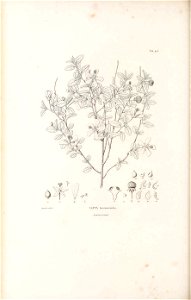 n341_w1150