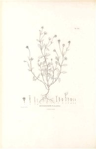 n371_w1150