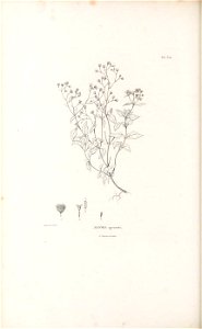 n237_w1150