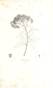 n108_w1150