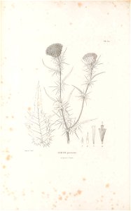n45_w1150