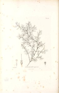 n545_w1150