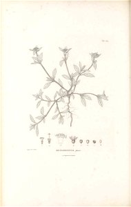 n457_w1150