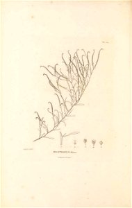 n101_w1150