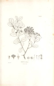 n184_w1150
