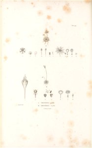 n495_w1150