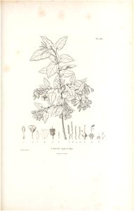 n432_w1150