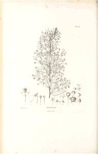 n331_w1150