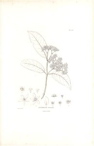 n178_w1150