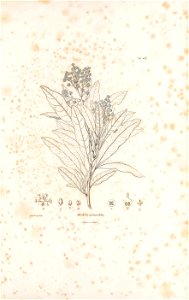 n12_w1150