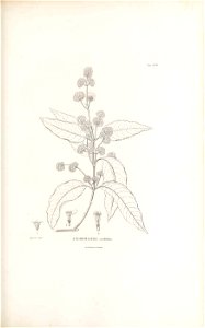 n166_w1150