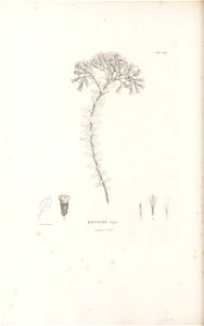 n103_w1150