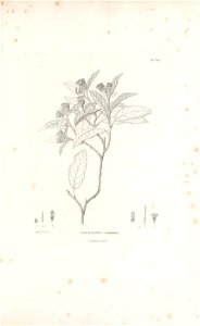n42_w1150