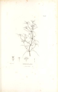 n452_w1150