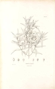 n325_w1150
