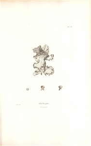 n152_w1150