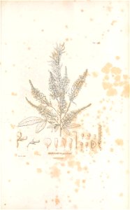 n602_w1150