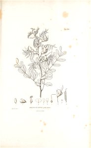n528_w1150