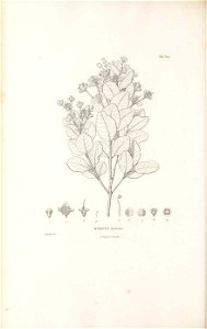 n181_w1150