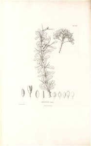 n109_w1150