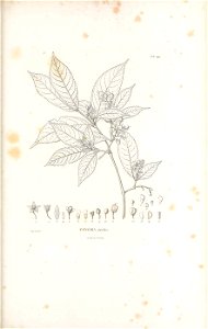 n490_w1150