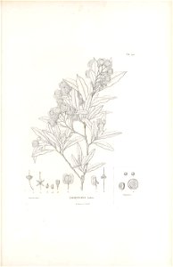 n172_w1150