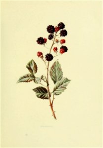 n114_w1150