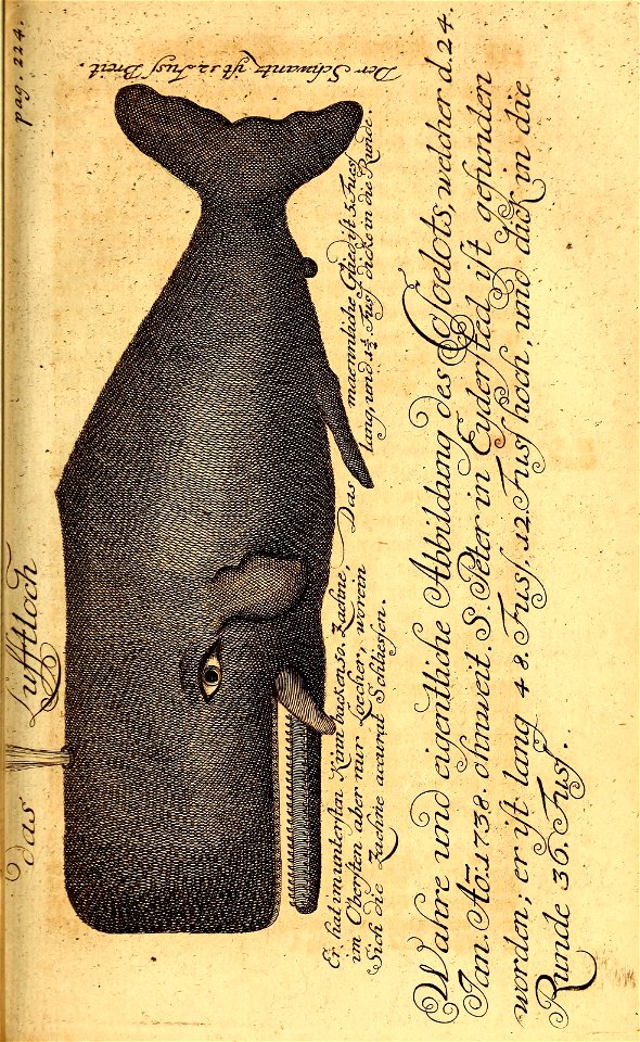 n272_w1150