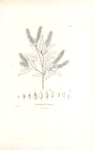 n68_w1150