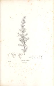 n138_w1150