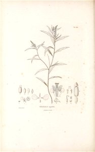 n519_w1150
