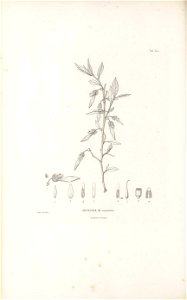 n463_w1150