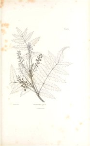 n108_w1150