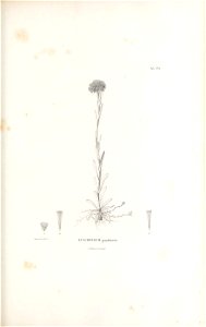 n136_w1150