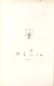 n411_w1150