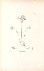 n205_w1150