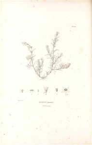 n113_w1150