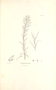 n410_w1150