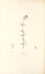 n305_w1150