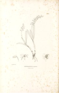 n601_w1150