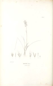 n367_w1150