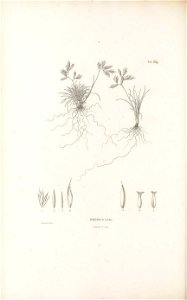 n317_w1150