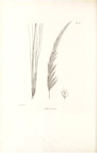 n269_w1150