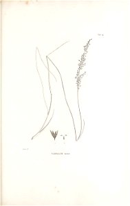 n214_w1150