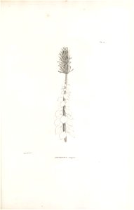 n162_w1150