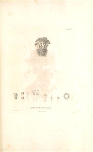 n350_w1150