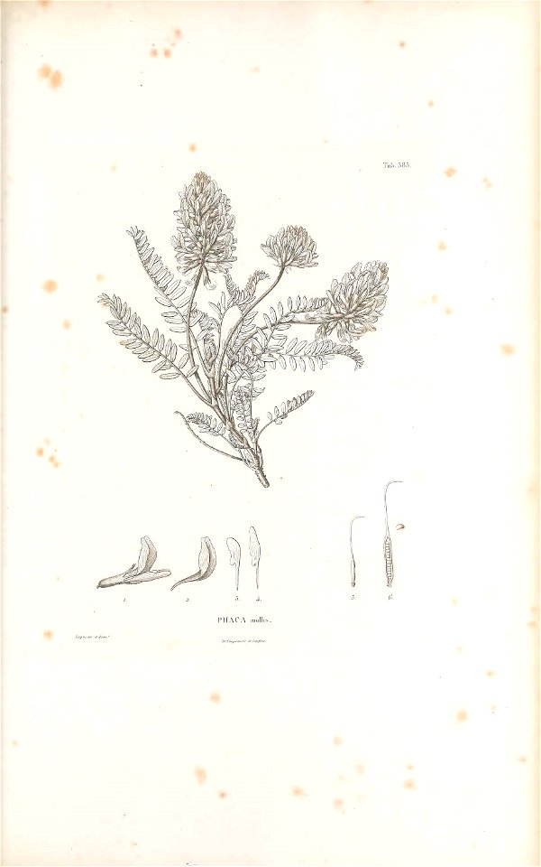n560_w1150