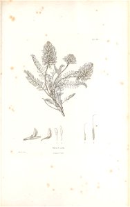 n560_w1150