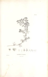 n290_w1150